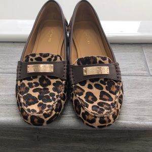 Cheetah Coach slip on loafers